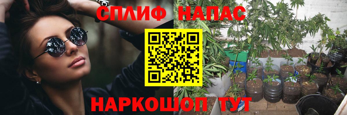 Марихуана OG Kush Новосибирск